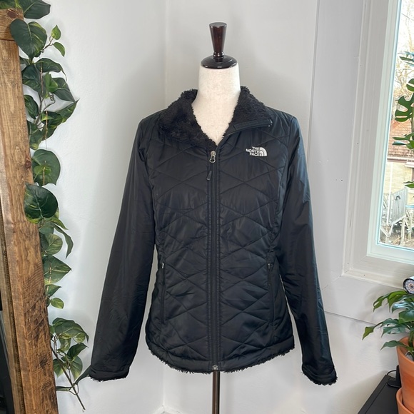 The North Face Jackets & Blazers - The North Face Mossbud Insulated Jacket